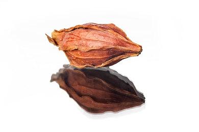 《战神：诸神黄昏》幕后系列第六集 用声音讲述故事